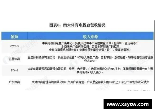 越南媒体聚焦中国体育明星：从成就到挑战的全景解析