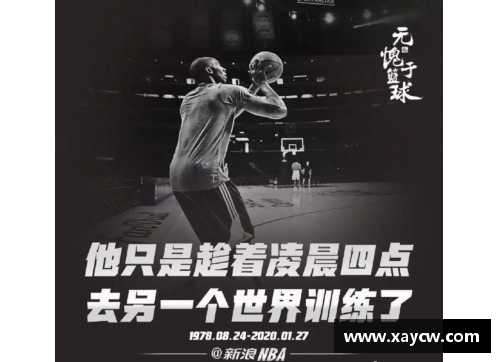 中国体育明星陨落的悲剧回顾及其影响力深度解析视频