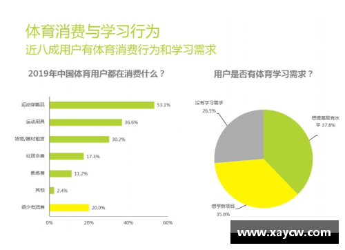 体育明星体检数据深度分析揭示健康与表现之间的终极关系