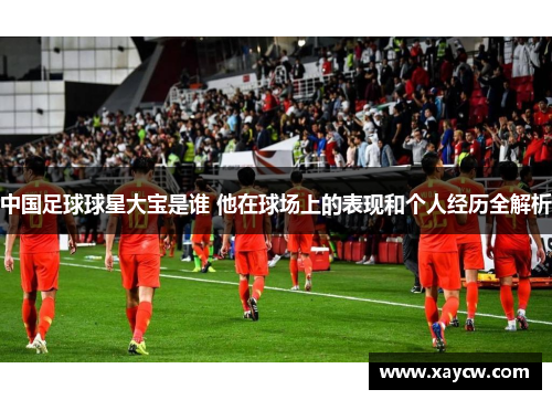 中国足球球星大宝是谁 他在球场上的表现和个人经历全解析