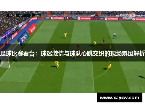 足球比赛看台：球迷激情与球队心跳交织的现场氛围解析